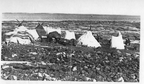 Camp at Loon Island
